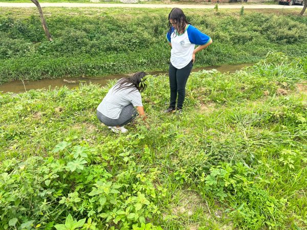 Alunos da E.M Santos Drumond realizam plantio de mudas as margens do Rio Sarandi
